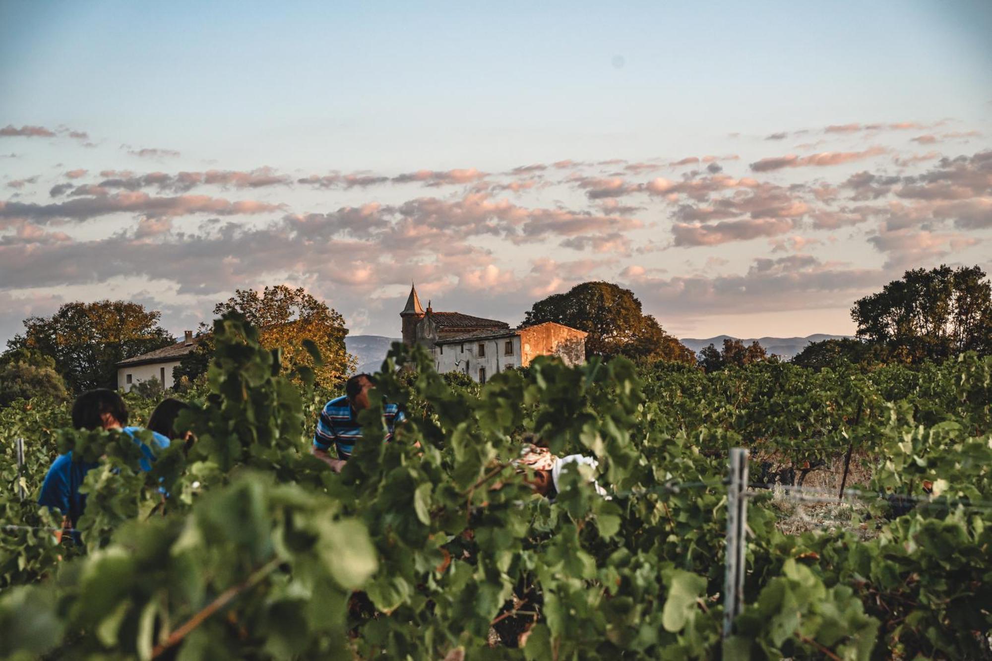 Domaine De Pelican Gignac  Eksteriør billede