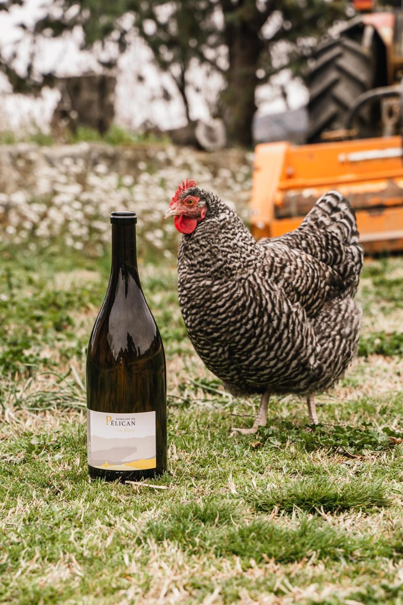 Domaine De Pelican Gignac  Eksteriør billede