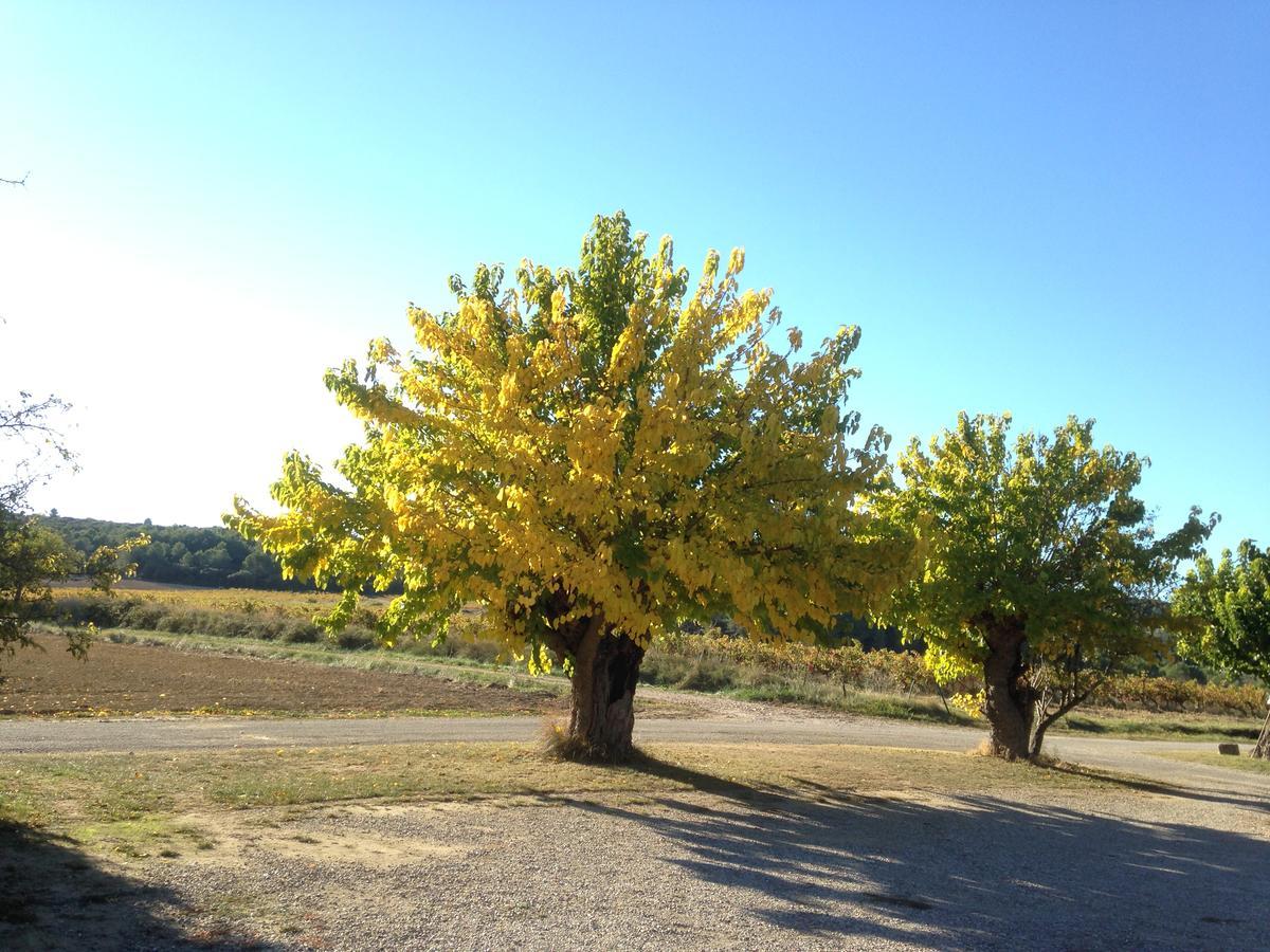 Domaine De Pelican Gignac  Eksteriør billede